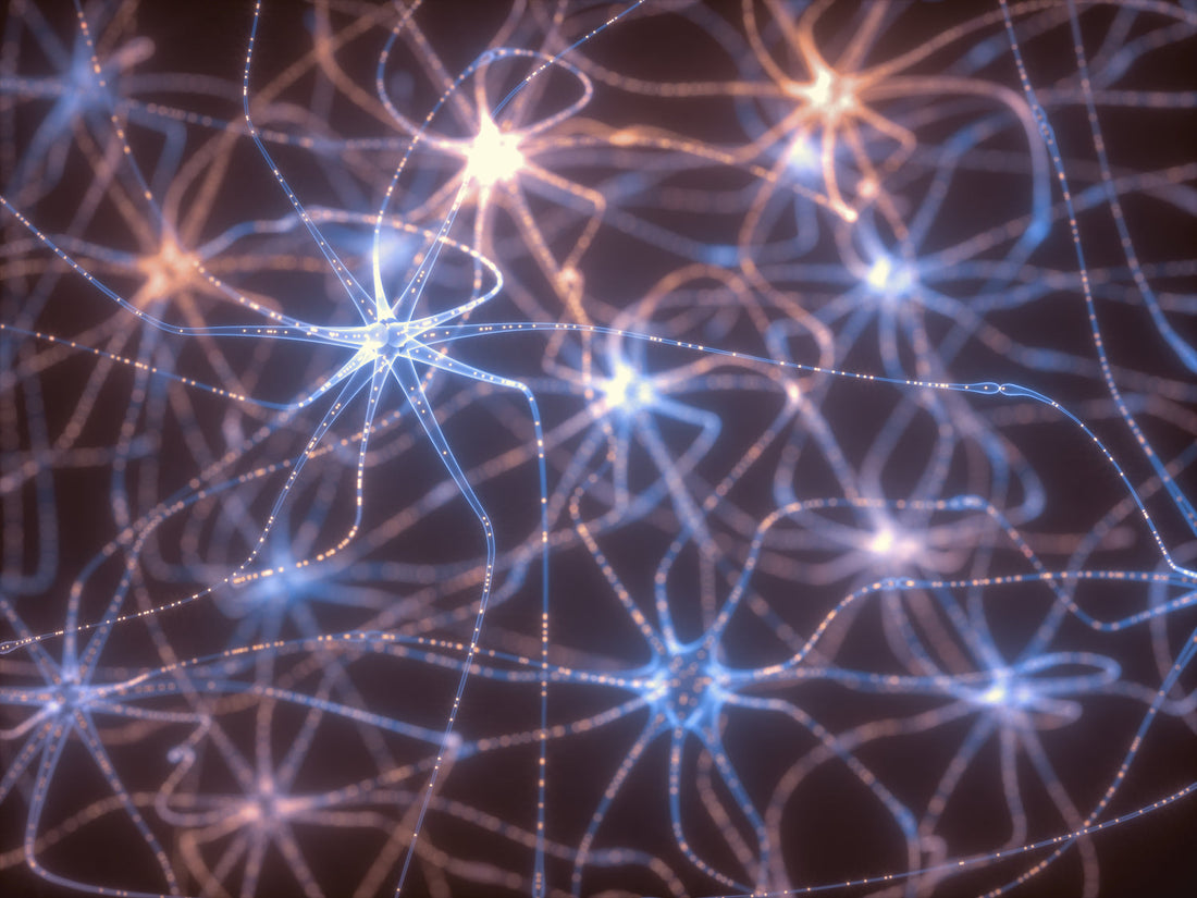 The Science of Change: Neuroplasticity Explained