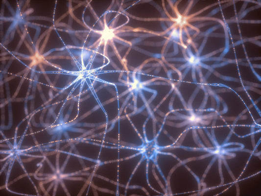 The Science of Change: Neuroplasticity Explained